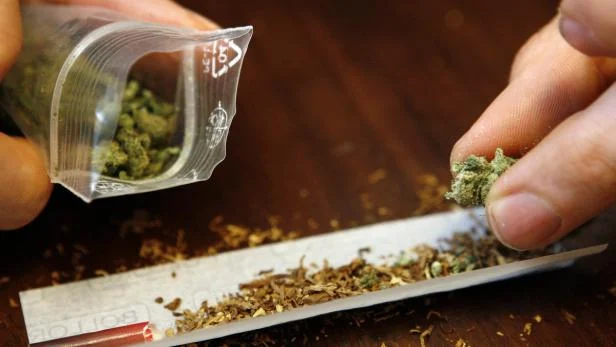 What is Citrus Love *Sativa* What is Citrus Love *Sativa*