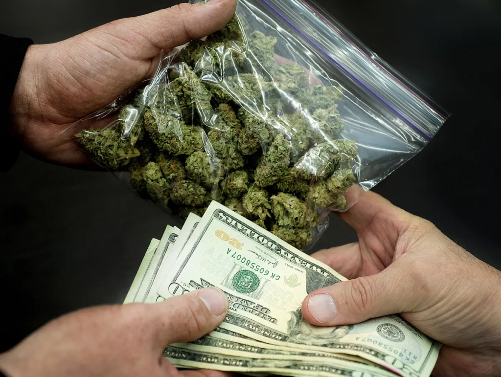 Transparent Cannabis guide Transparent Cannabis guide