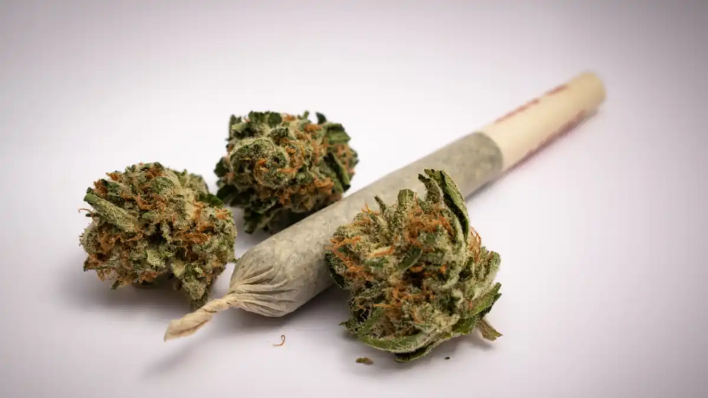 Where Is It Legal To Buy weed? Where Is It Legal To Buy weed?