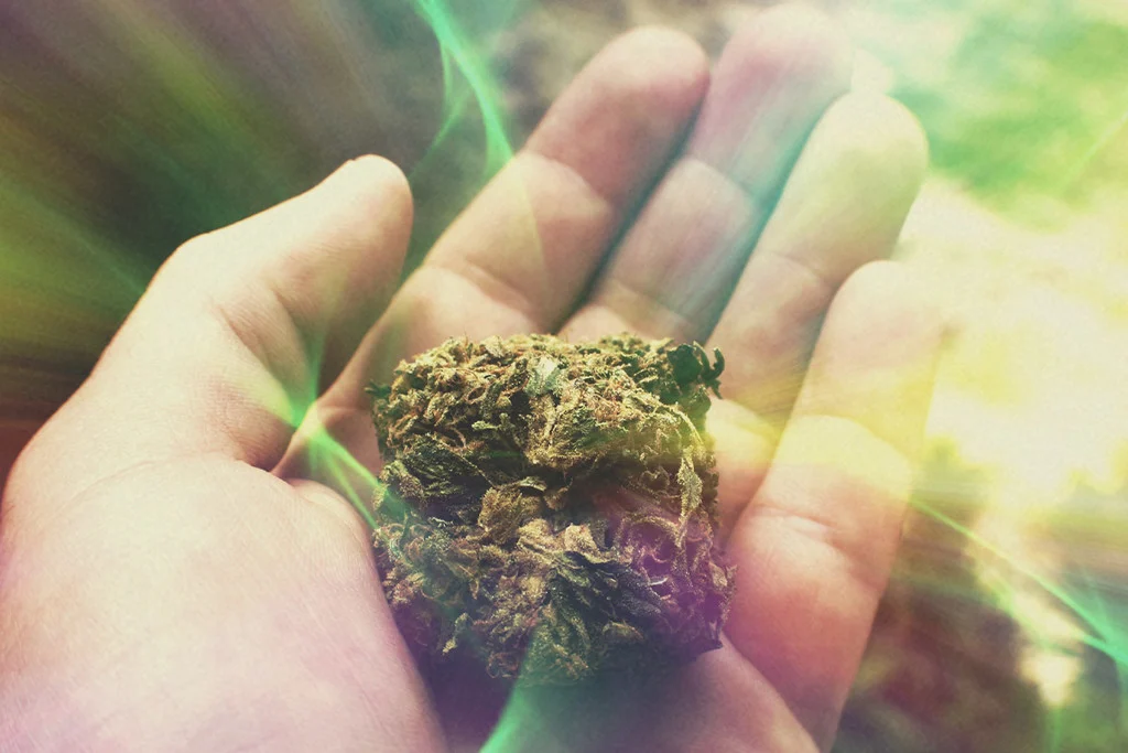 How do I use a weed cart? How do I use a weed cart?