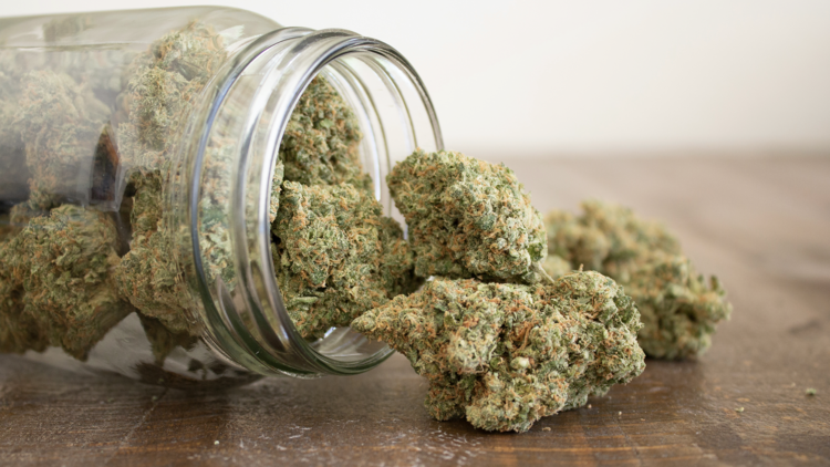 How to Roll a Blunt: ultimate guide
