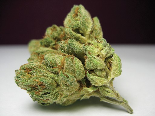 Why are Buds Called Flower? Why are Buds Called Flower?